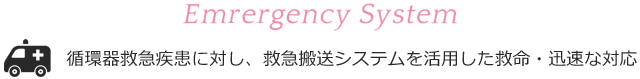 Emrergency System